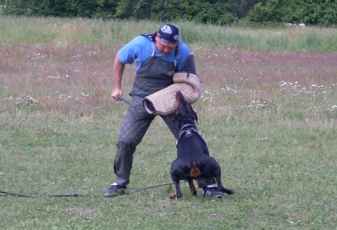 Training in Estonia 6/2007